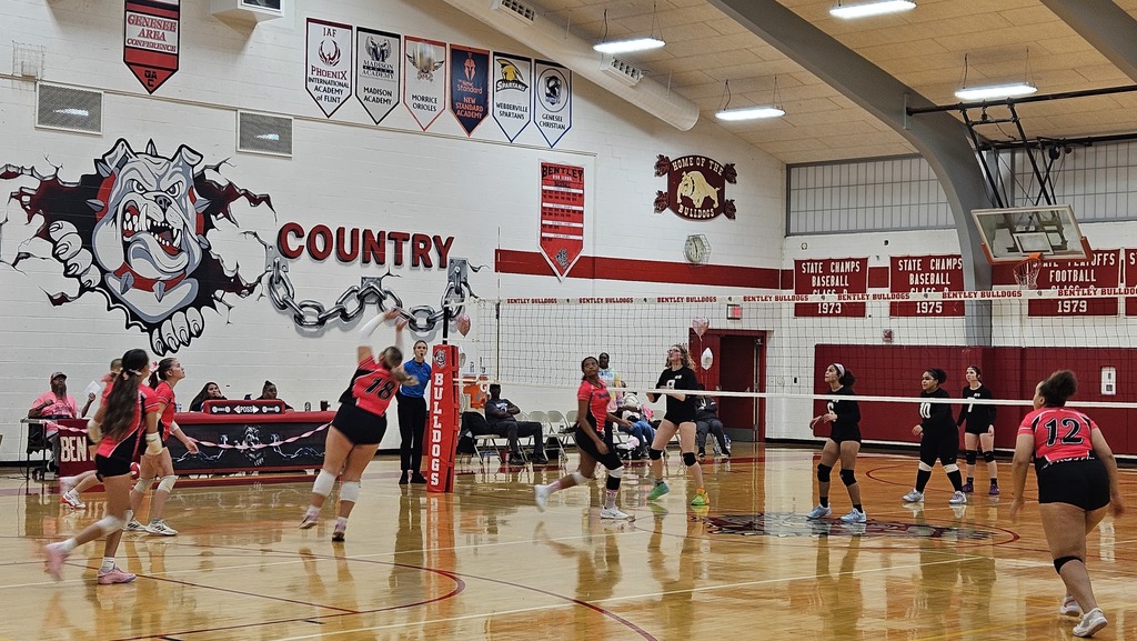 This image depicts girls playing volleyball.