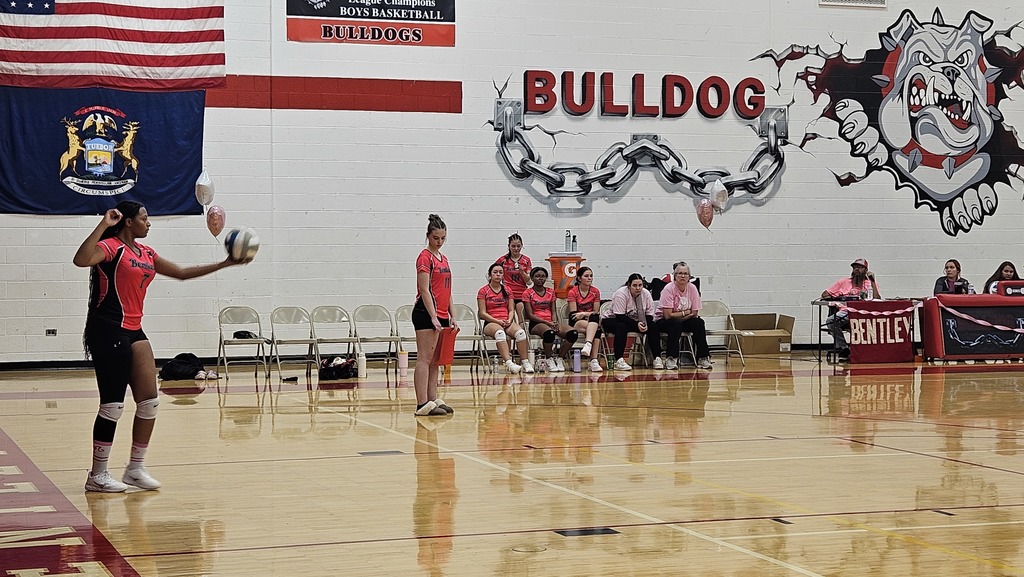 This image depicts girls playing volleyball.