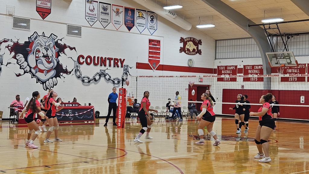 This image depicts girls playing volleyball.