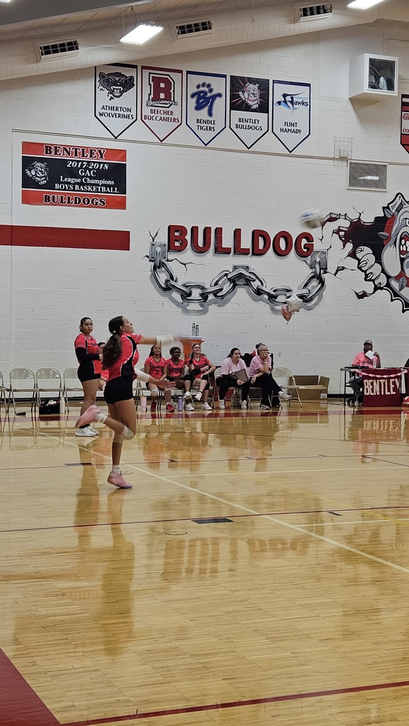 This image depicts girls playing volleyball.