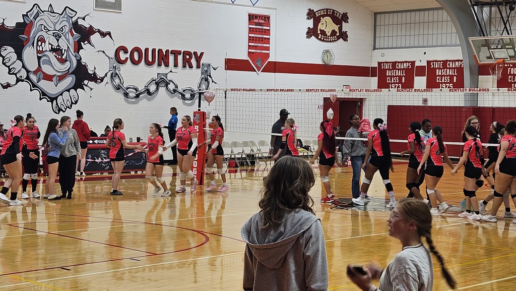 This image depicts girls playing volleyball.