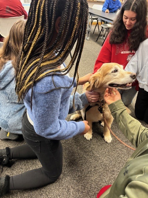 Therapy Dog Visit