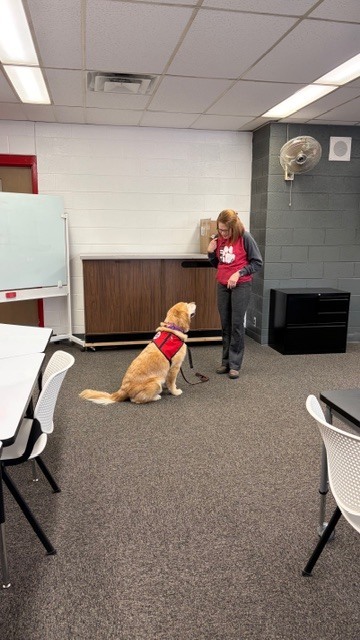 Therapy Dog Visit