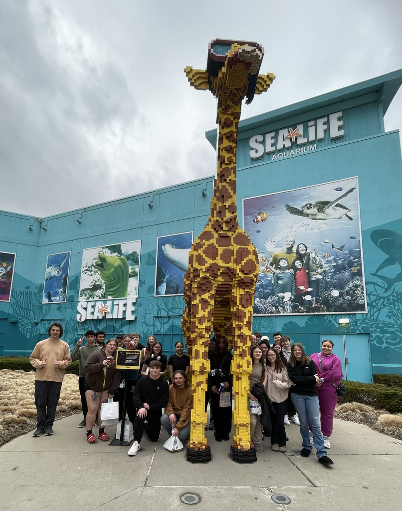 Sea Life visit for Bentley students