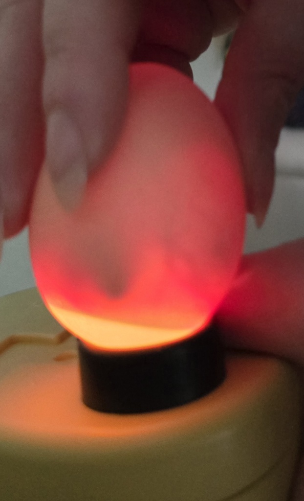 Day 10 egg candling. We saw movement! 