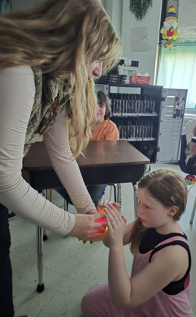 Day 10 egg candling. We saw movement! 