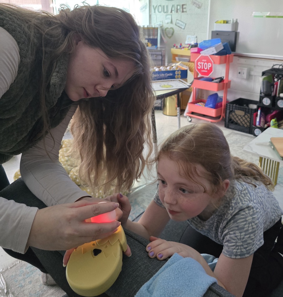 Day 10 egg candling. We saw movement! 
