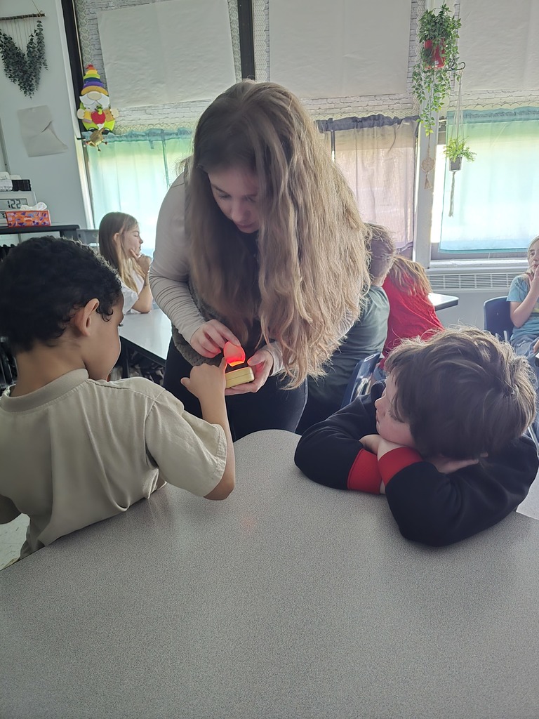 Day 10 egg candling. We saw movement! 