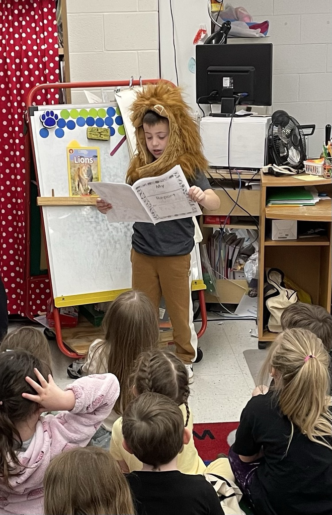 lion report