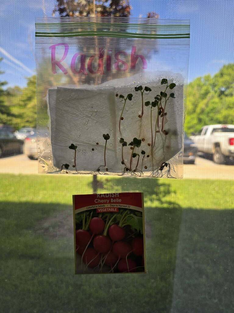 🌱 Science is basically waiting for things to grow and getting really excited when they do.