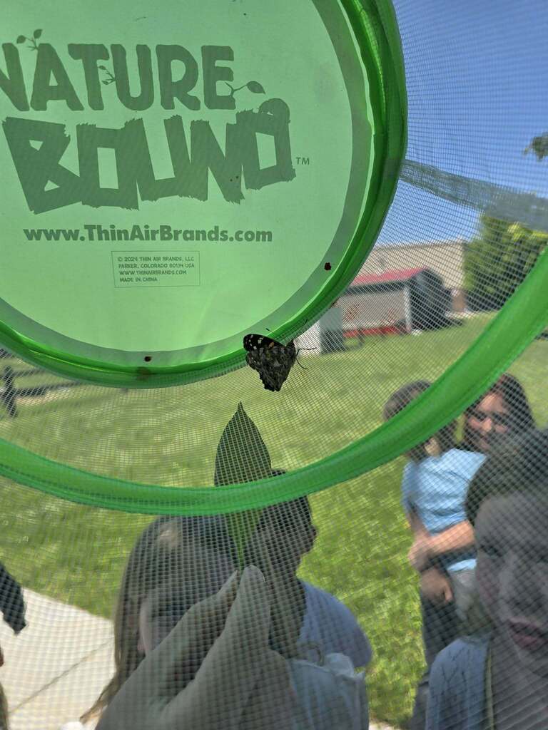 🦋 The moment we've been waiting for... butterfly release day!