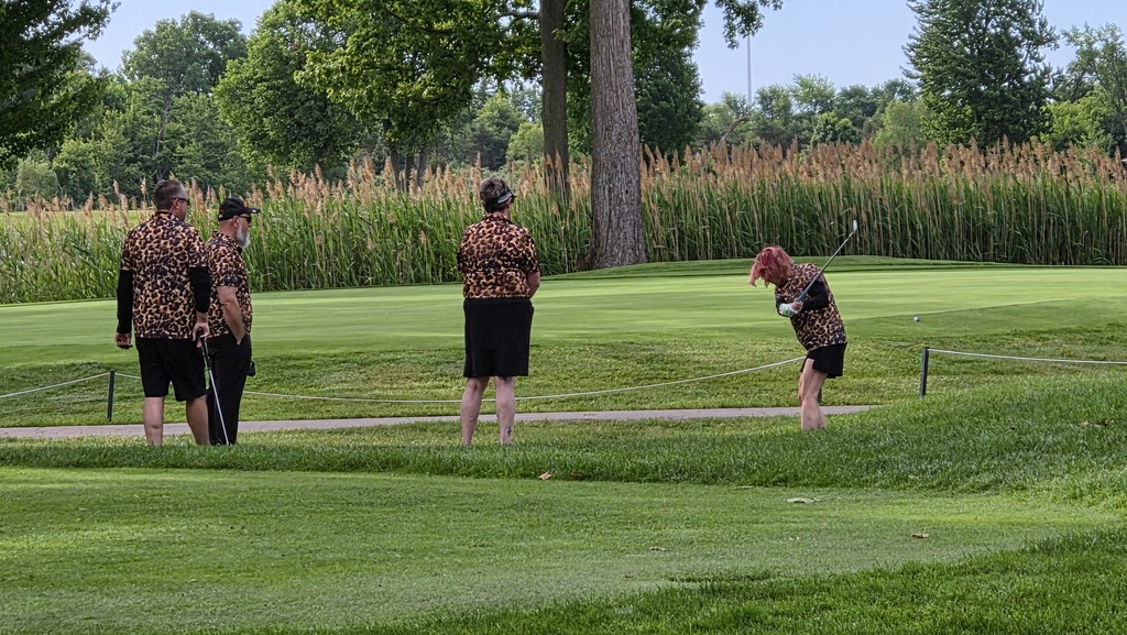 Image from the golf outing - a foursome actively golfing