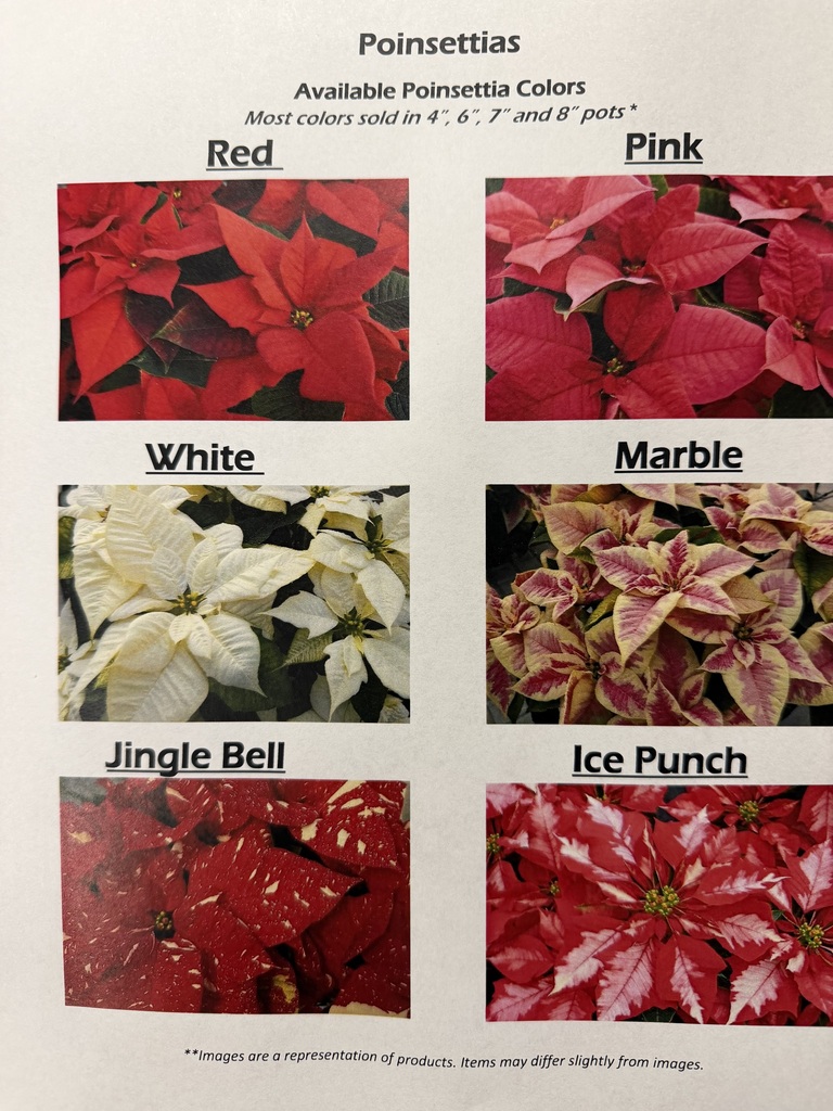 Christmas Fundraiser 1