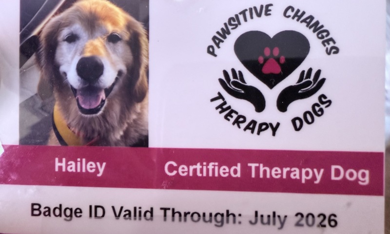 Hailey Bentley Schools Therapy Dog