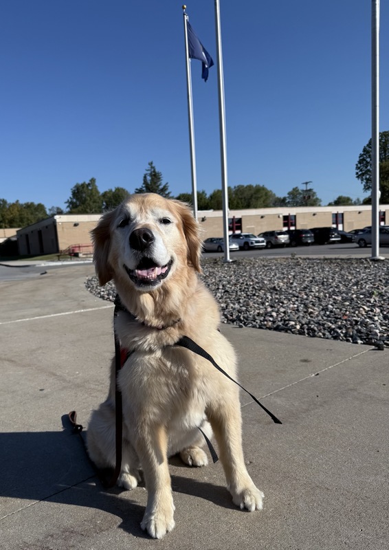 Hailey Bentley Schools Therapy Dog