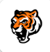 Benton SD App Icon of Tiger Mascot Head
