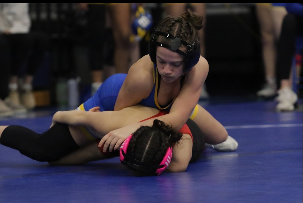 Lady Cat Dual