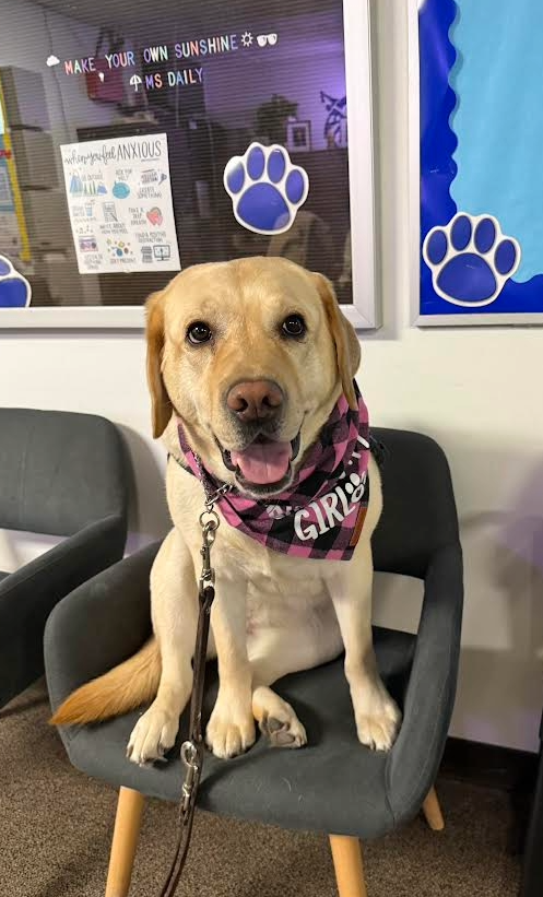 Stella's 4th birthday