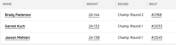 Boys State Wrestling