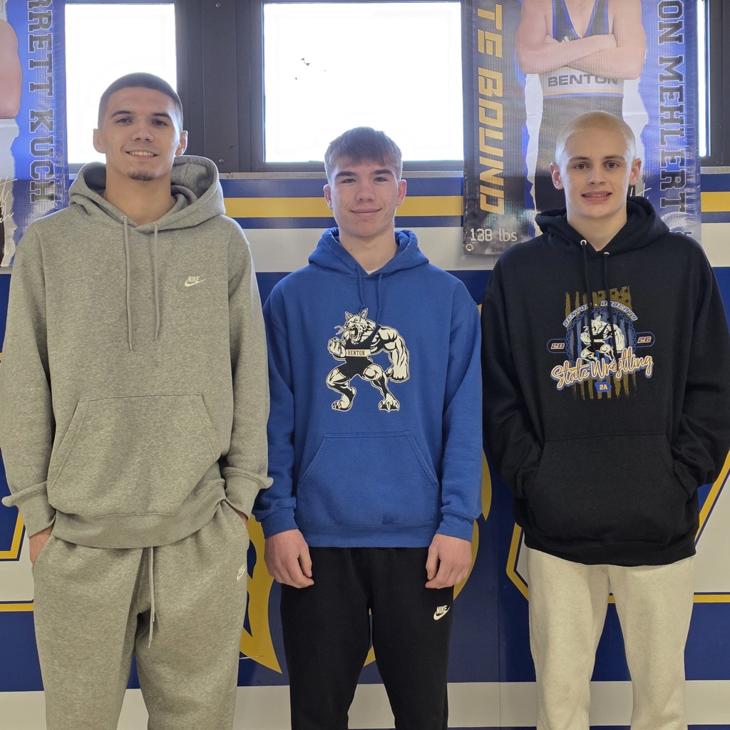 Boys State Wrestling 