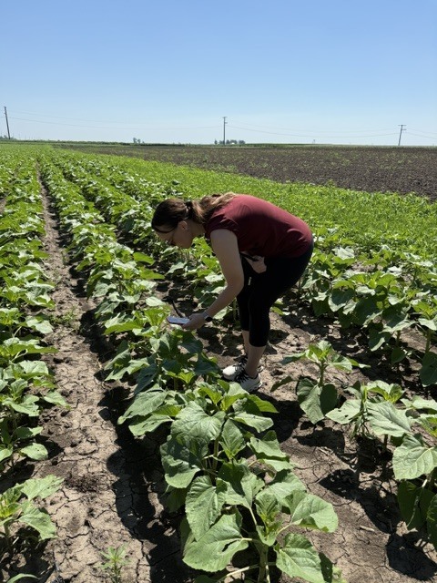 Summer Learning