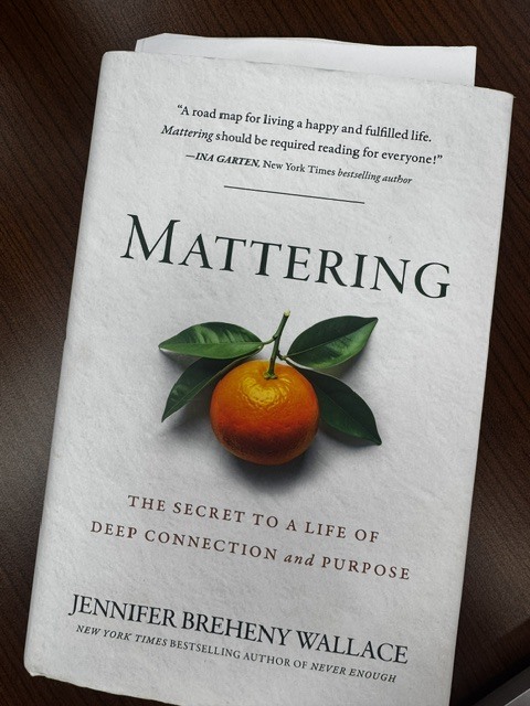 Mattering by Jennifer Breheny Wallace