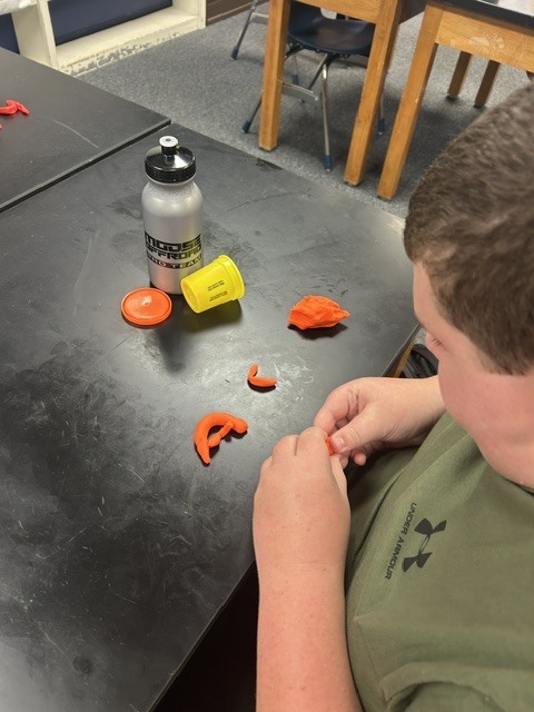 7th Grade Science