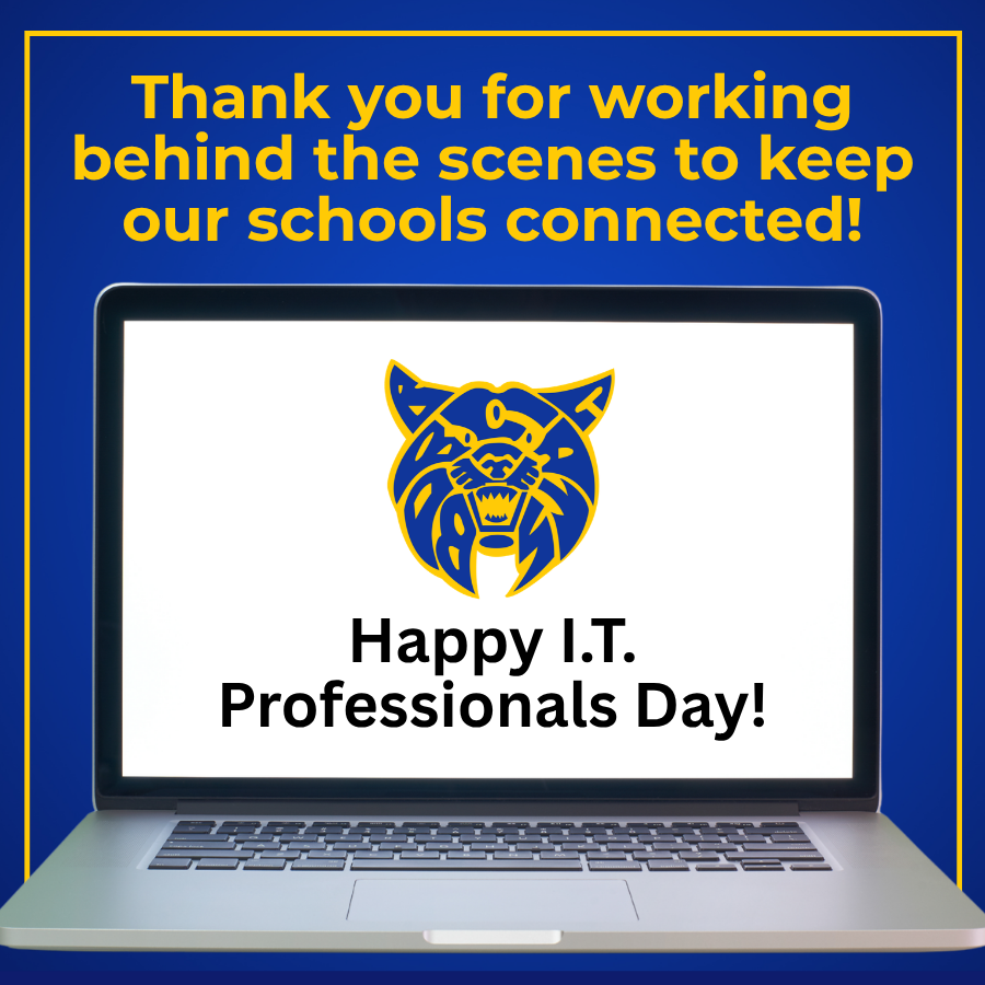 II.T. Professionals Day