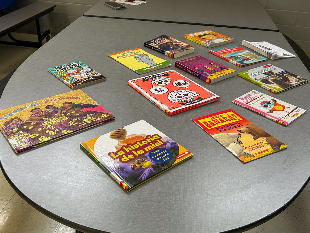 Spanish and Bilingual books