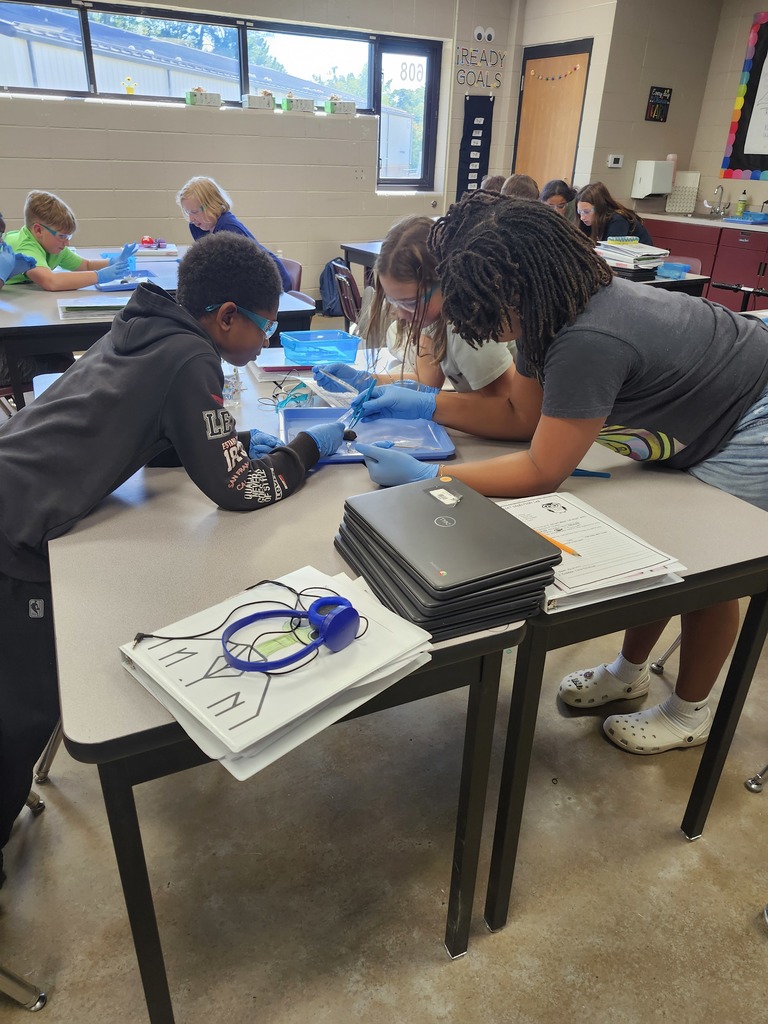 Learning in Action