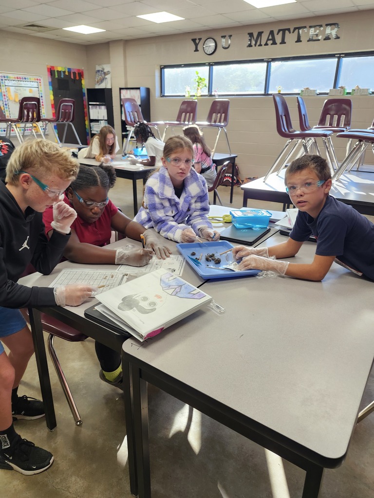 Learning in Action