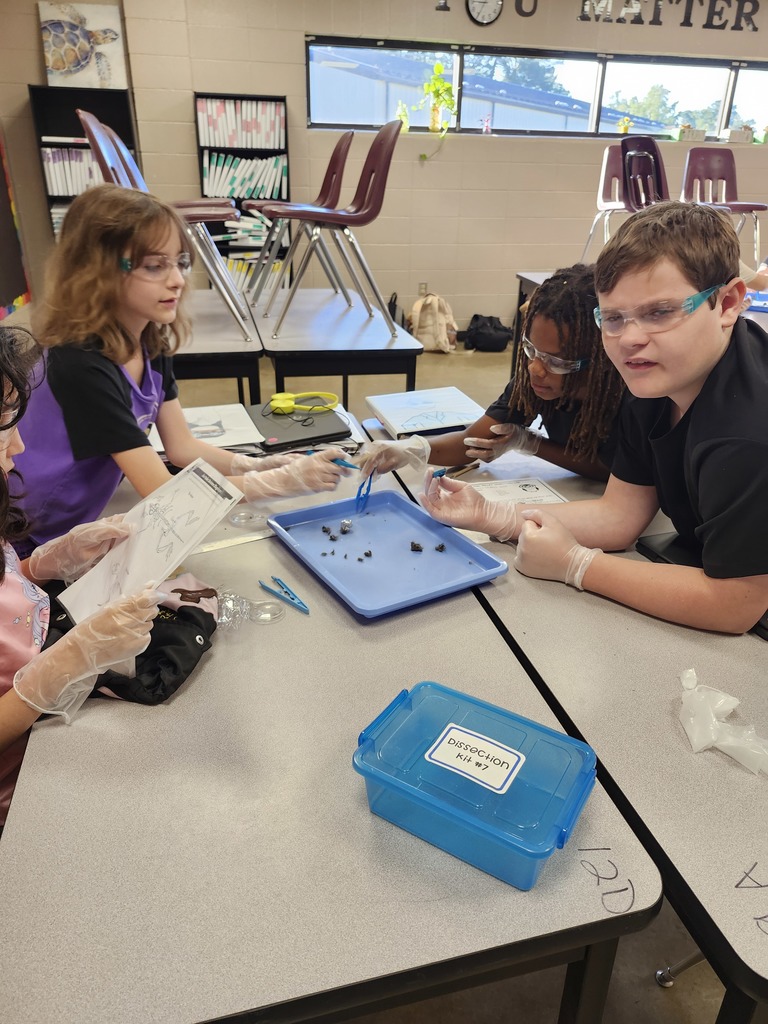 Learning in Action