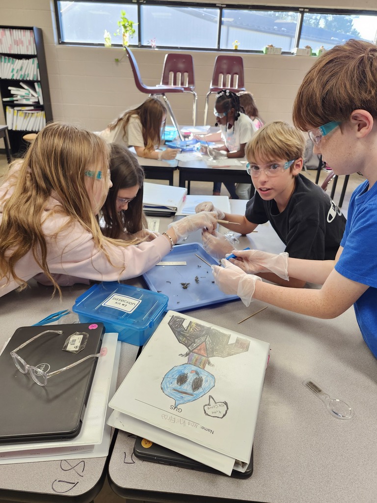 Learning in Action
