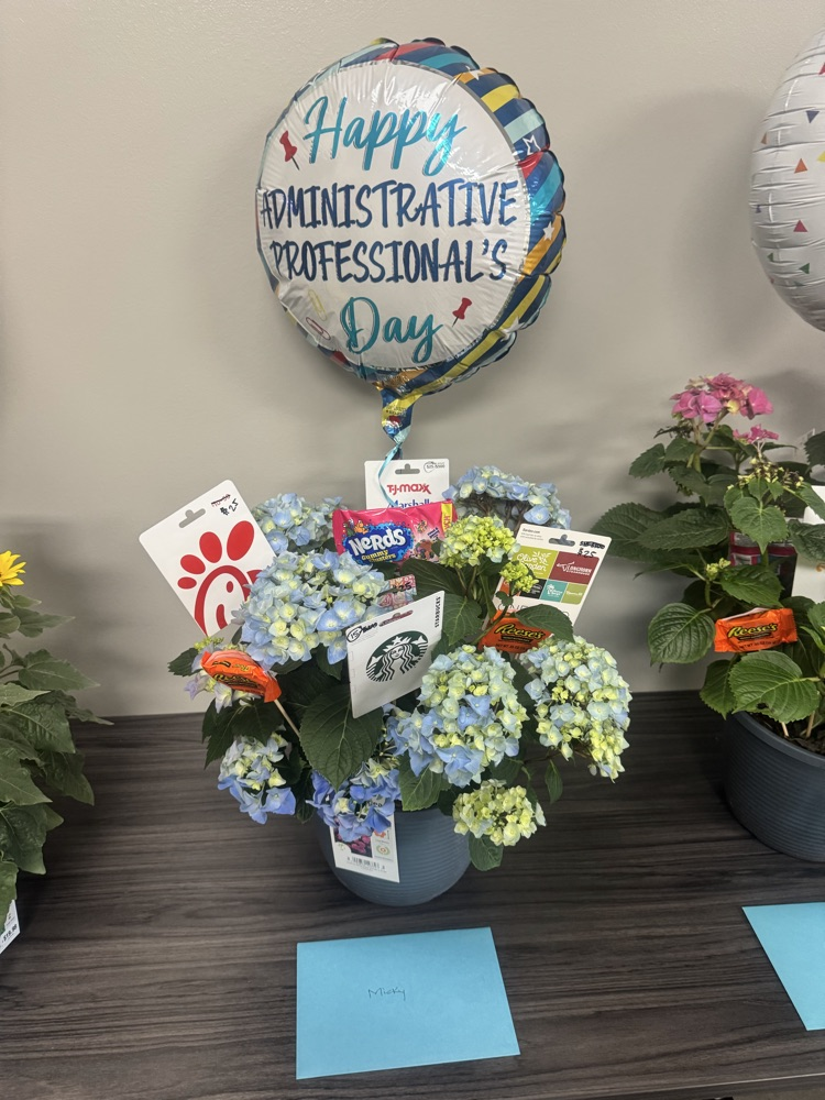 MVMS admin assistant 