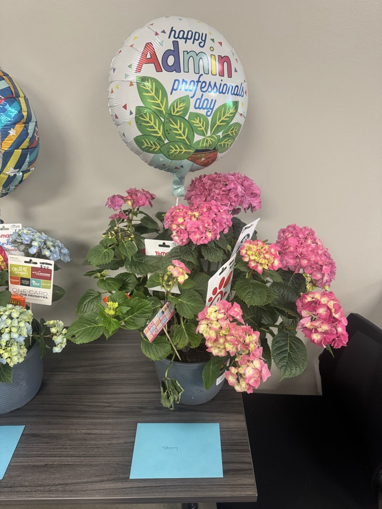 MVMS admin assistant 