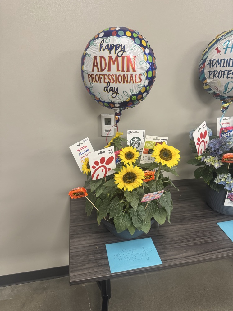 MVMS admin assistant 