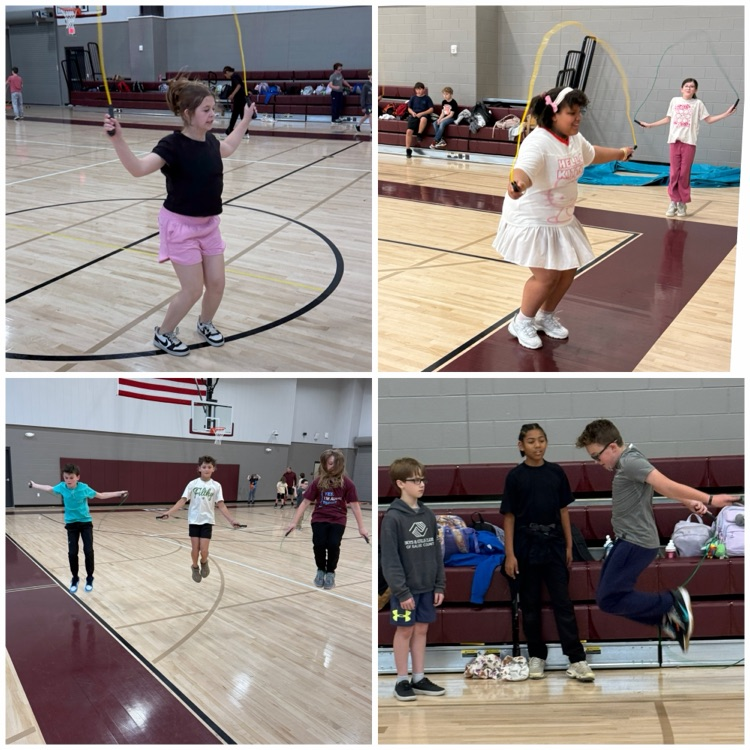 MVMS pe