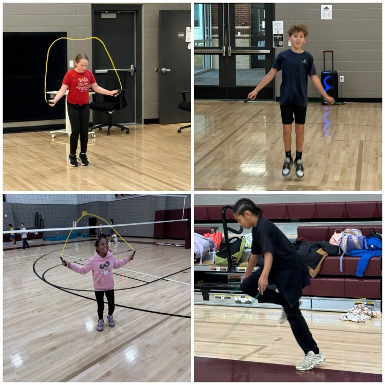 MVMS pe
