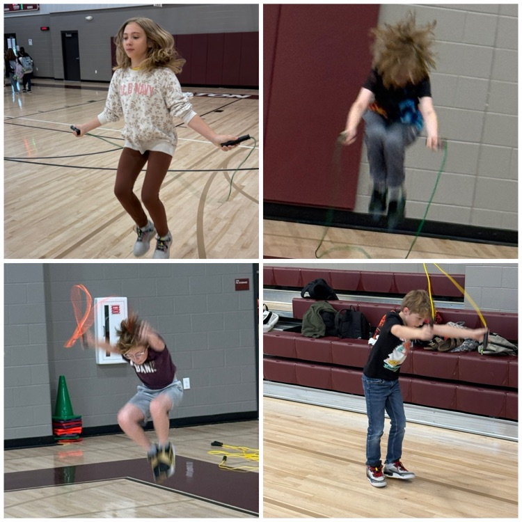 MVMS pe