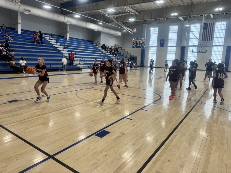 MVMS panthers