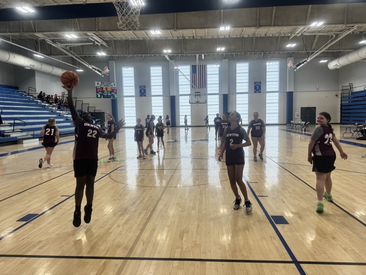 MVMS panthers