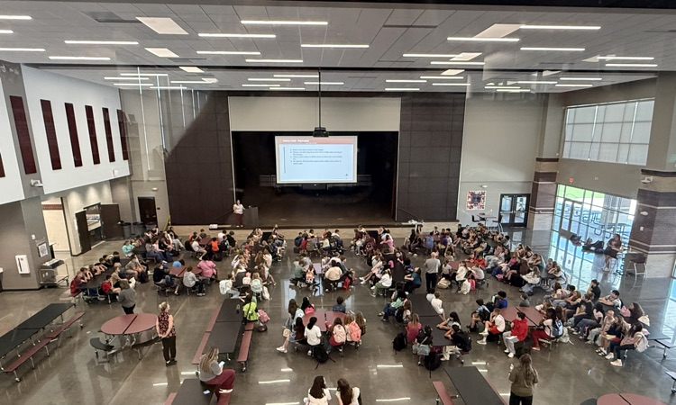 MVMS assembly