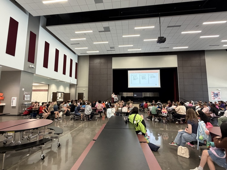 MVMS assembly