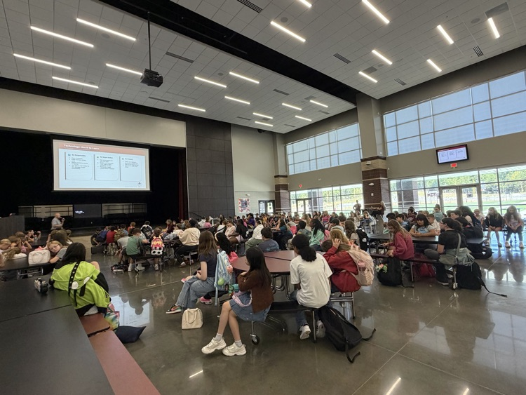 MVMS assembly