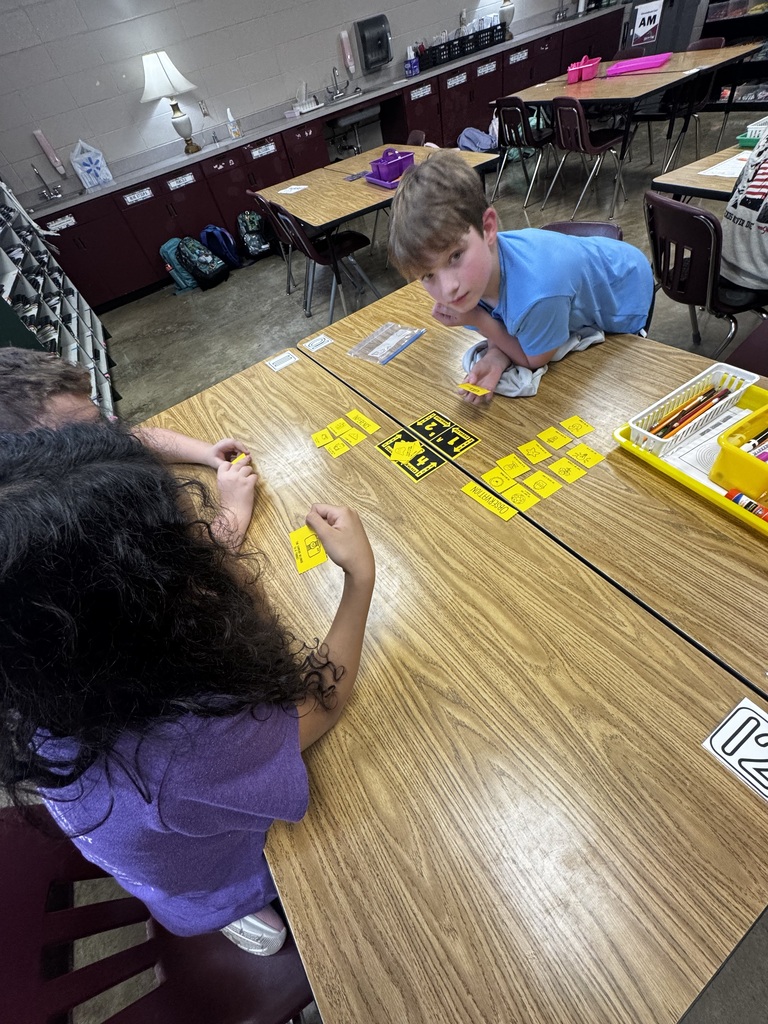 Two students are sitting in their table groups sorting cards as they learn about observations and inferencing