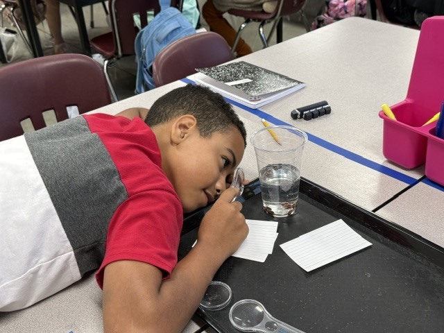 One student is looking into a cup of water intently as he watches the science experiment