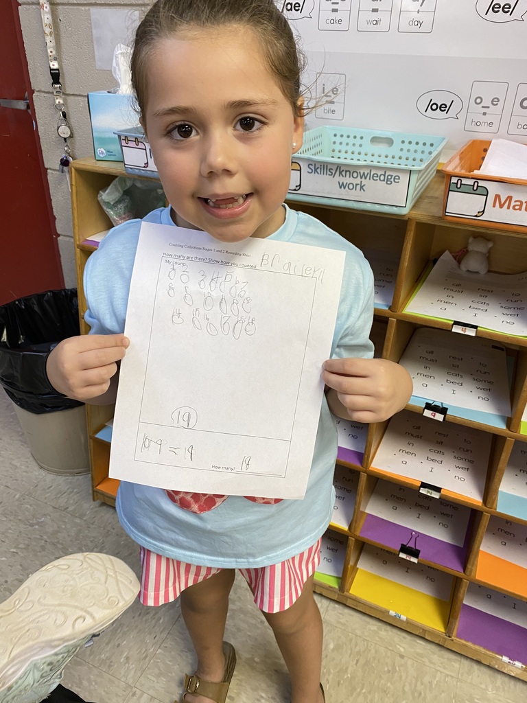 Counting Collections