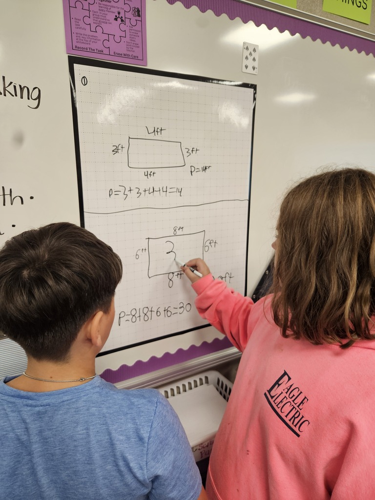 Students at the board working together