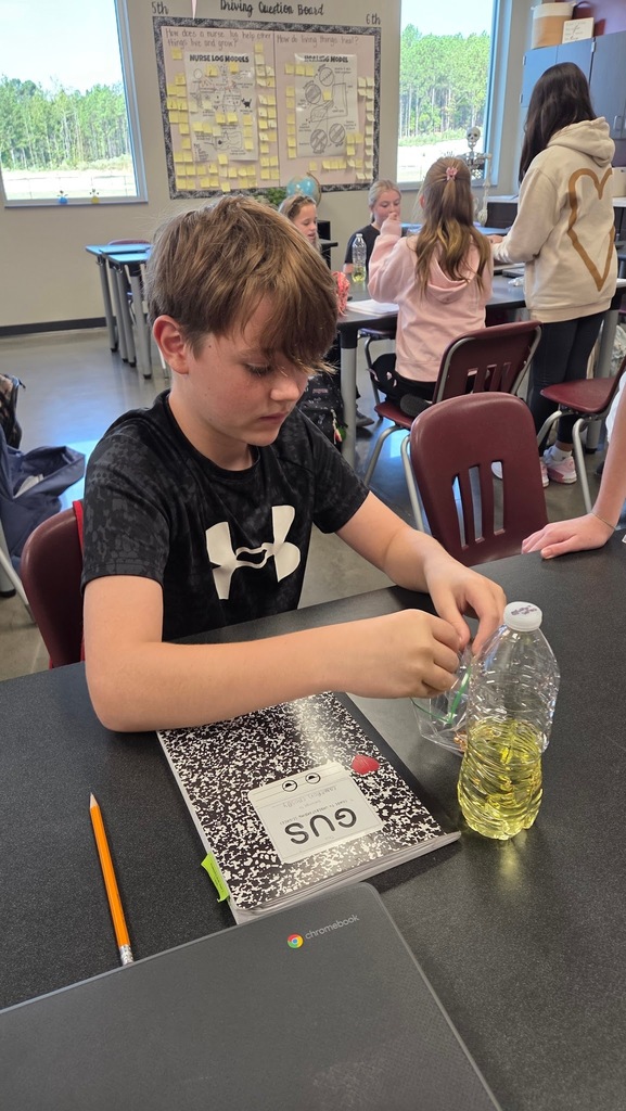6th Grade - Science Lab