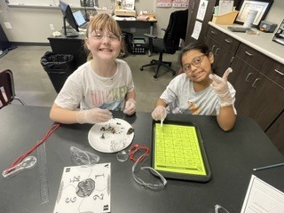 5th Grade - Science Lab